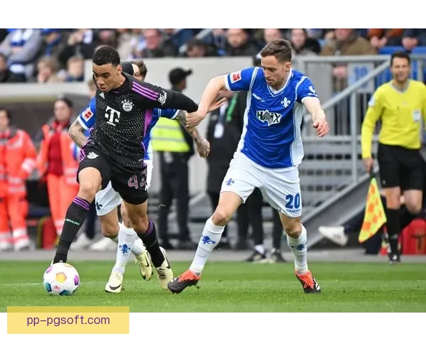 达姆施塔特德甲赛季垫底遭遇降级冲击俱乐部未来考验