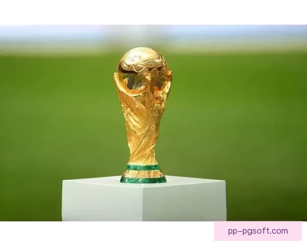 2026世界杯温哥华赛区翻新工程顺利完工迎接全球赛事盛况